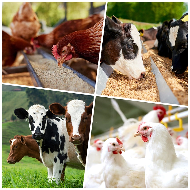 اتحادیه های صنفی مرغ داران و دام داران